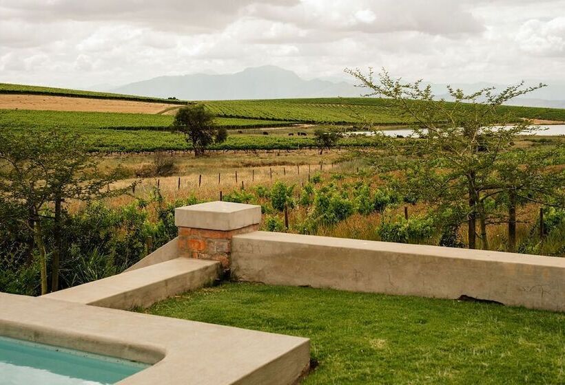 بنسيون Vineyard Views Country House