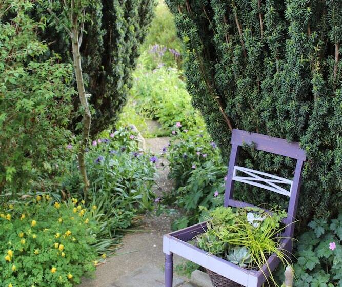 The Vine B & B