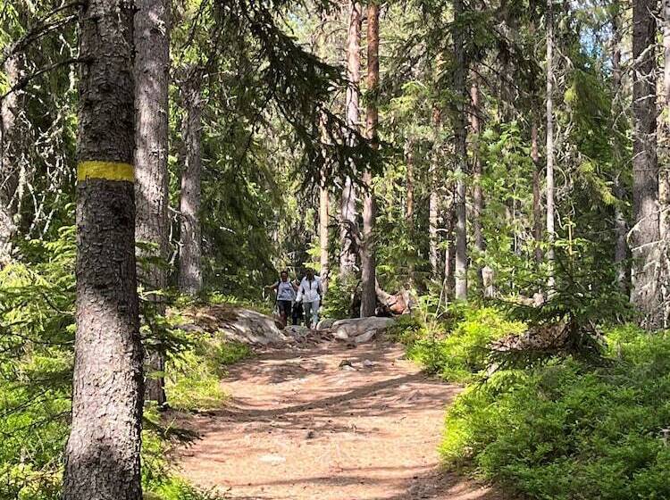 Bergshotellet