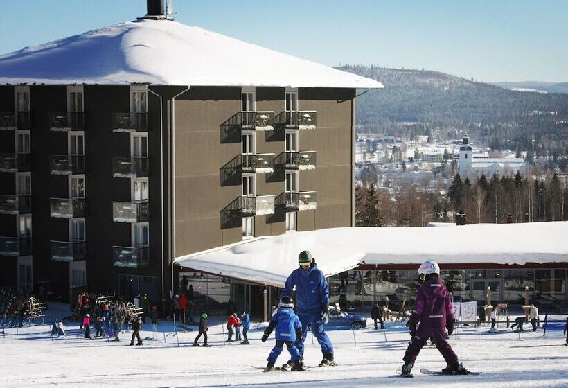 Bergshotellet