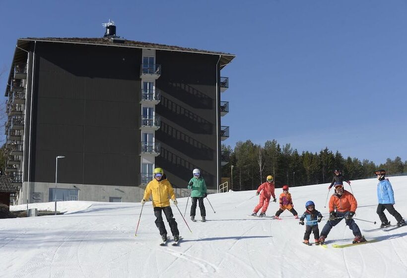 Bergshotellet