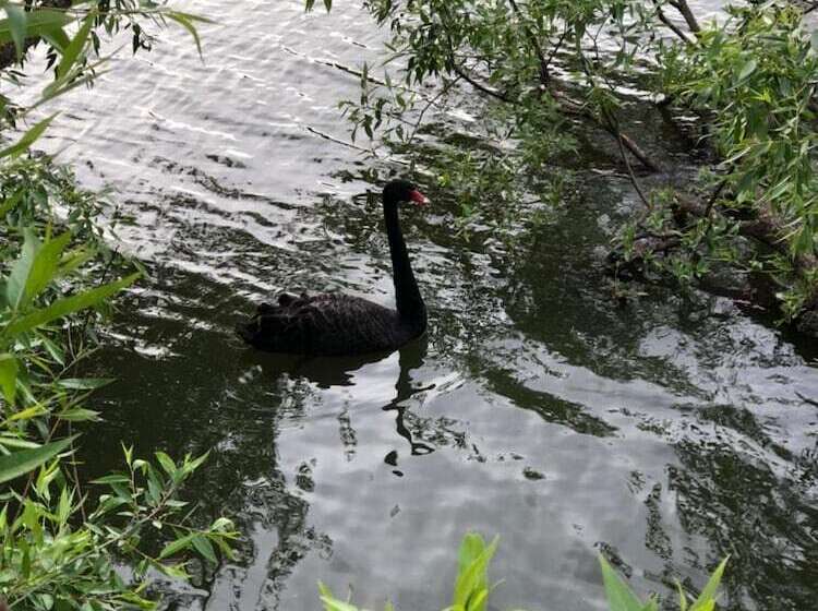 Camping Motel Blinnaya Gora