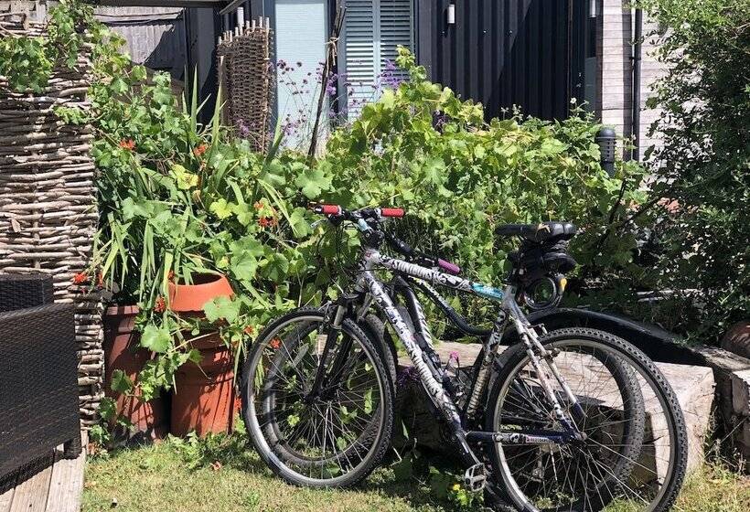 בית מלון כפרי Daisybank Cottage