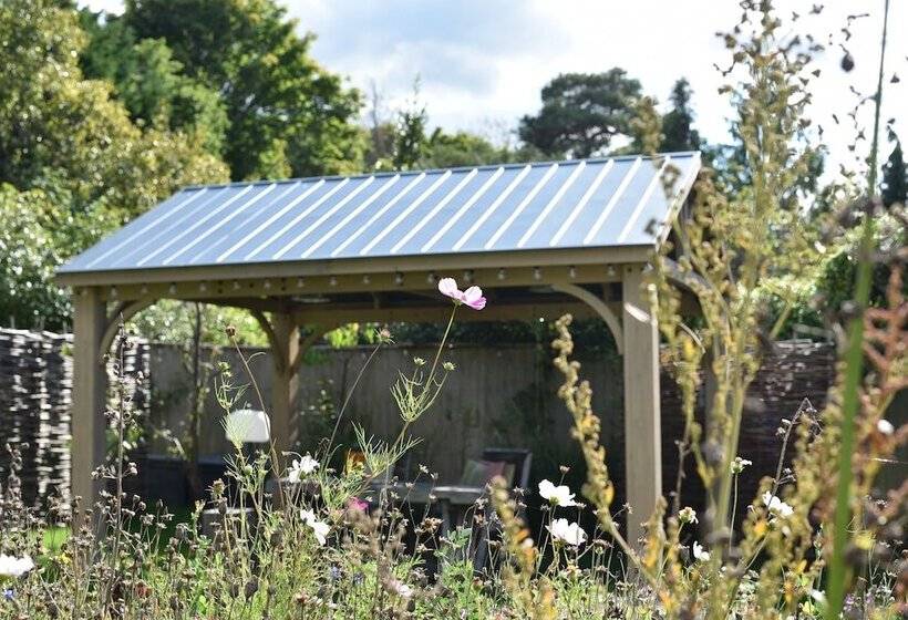 בית מלון כפרי Daisybank Cottage