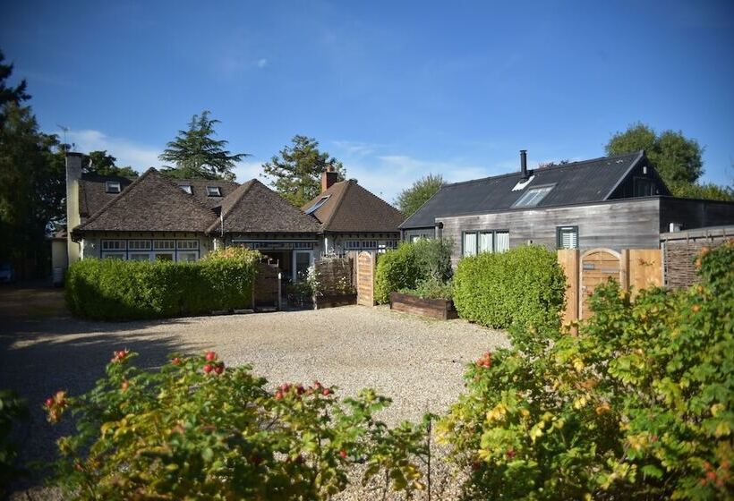 בית מלון כפרי Daisybank Cottage