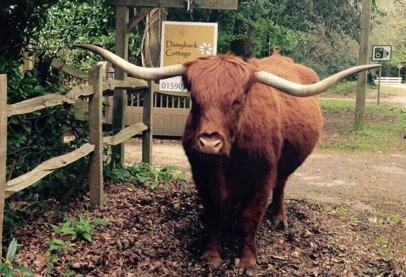 בית מלון כפרי Daisybank Cottage