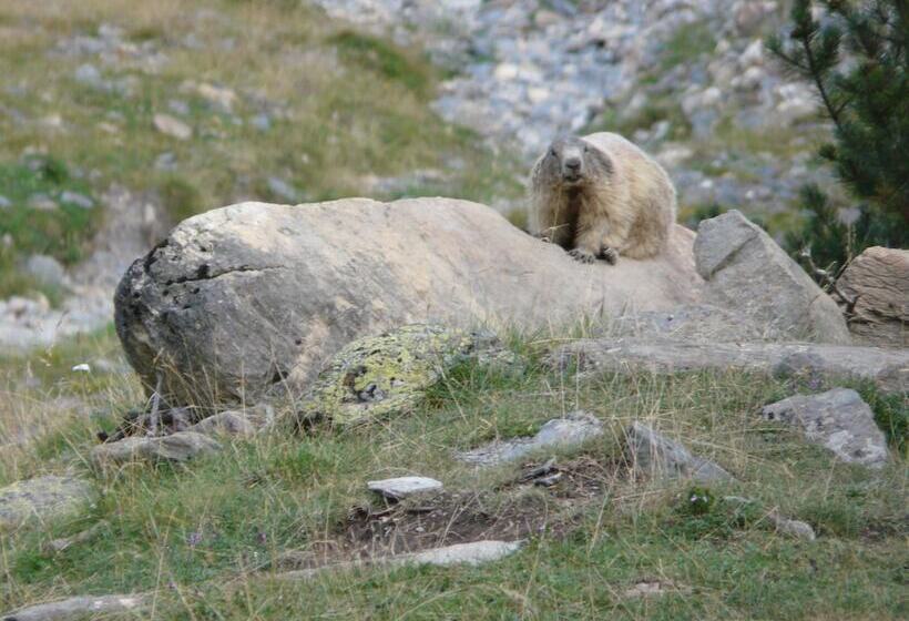בית מלון כפרי Le Breilh