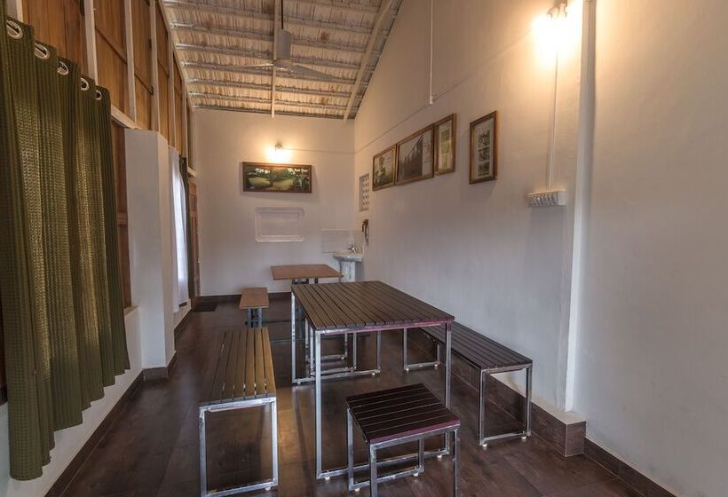 Отель Whispering Willows