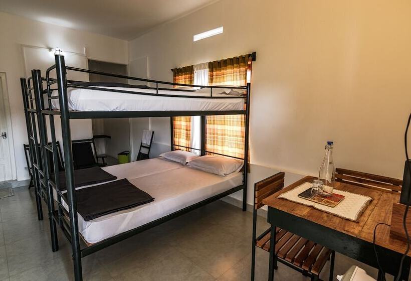 Отель Whispering Willows