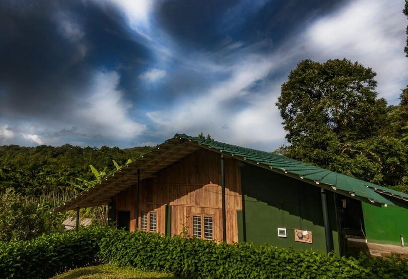 Отель Whispering Willows