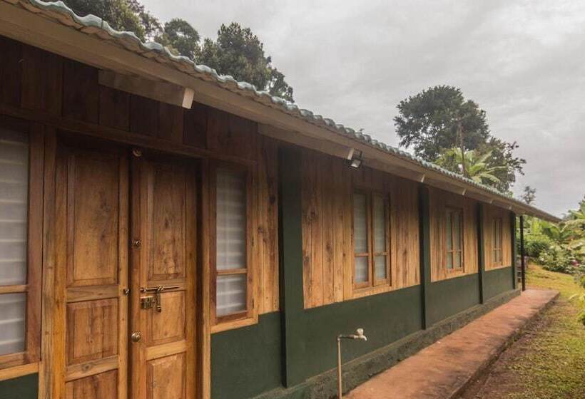 Отель Whispering Willows