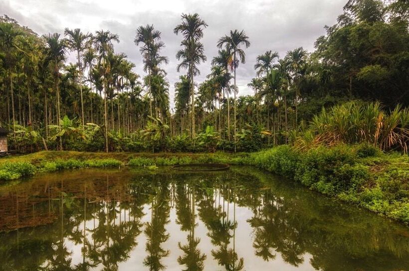 Отель Whispering Willows