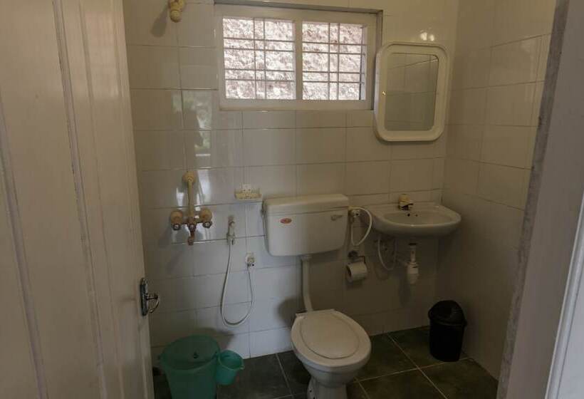 Отель Whispering Willows