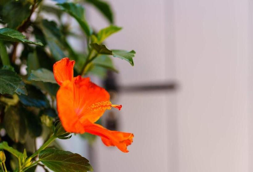 펜션 Beach Houses Santorini