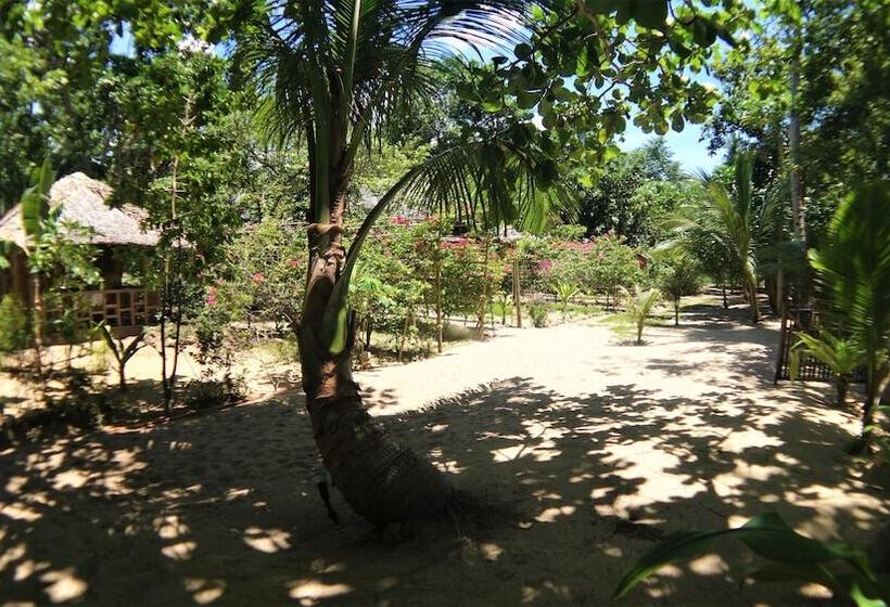 پانسیون Casa Felicidad