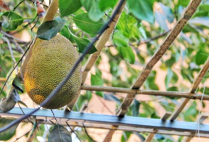 پانسیون Ella's Villa Siem Reap
