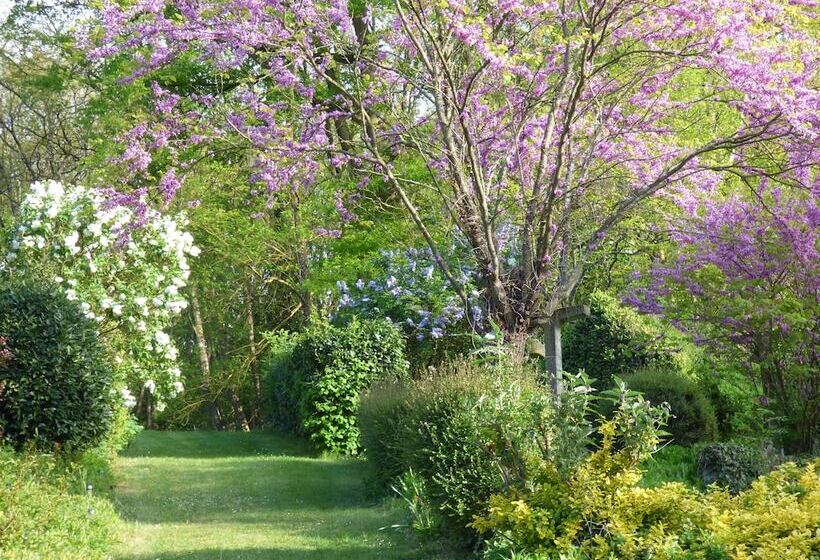 بنسيون La Pomélie