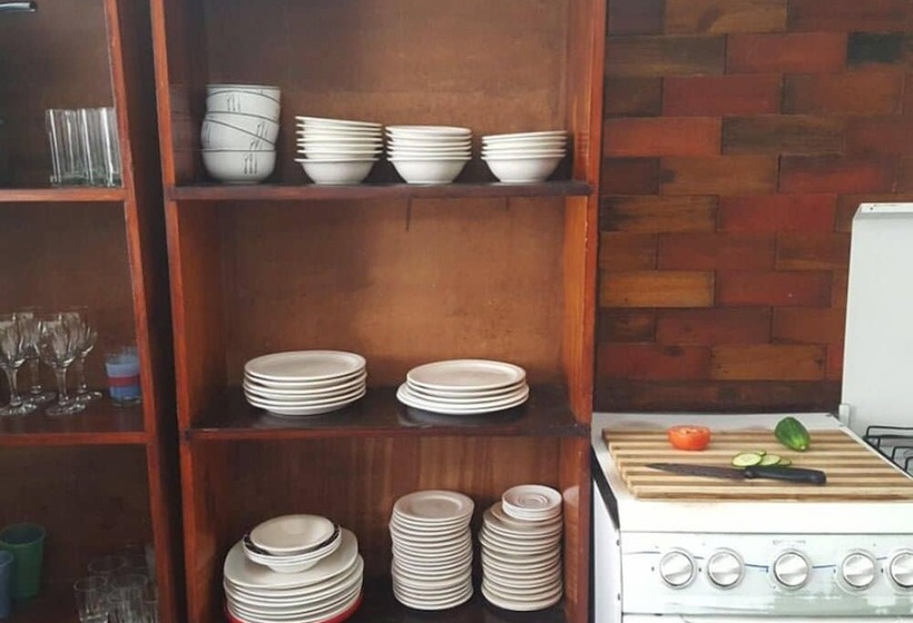 호스텔 Stumble Inn Backpackers Lodge