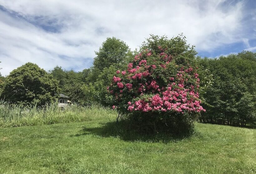 مبيت وإفطار Lucky Mud Inn And Disc Golf Resort