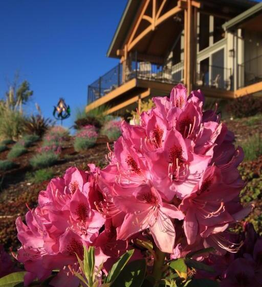 Bella Collina Bed & Breakfast