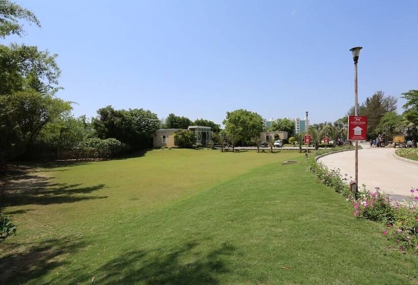 Отель Four Leaf Service Suites