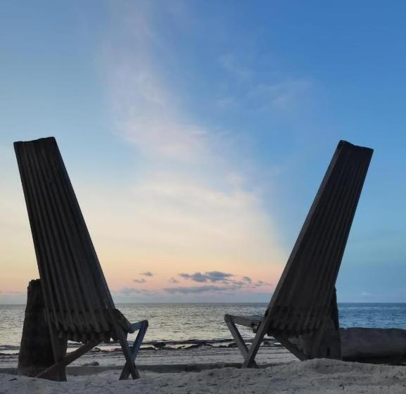 酒店 Garden Beach Bungalows Jambiani