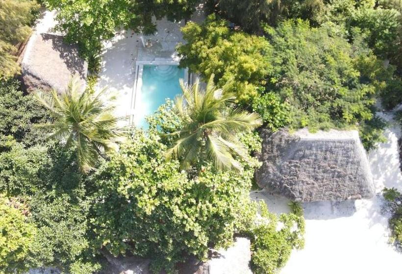 酒店 Garden Beach Bungalows Jambiani