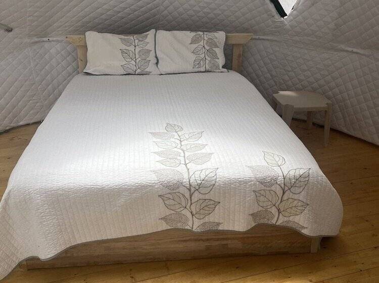 فندق Great Sand Dunes Lodge