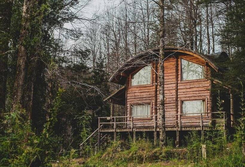 호텔 Huilo Huilo Cabanas Del Bosque