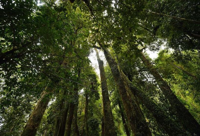 호텔 Huilo Huilo Cabanas Del Bosque