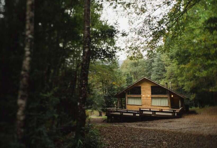 호텔 Huilo Huilo Cabanas Del Bosque