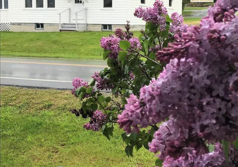 فندق Lake Bomoseen Lodge