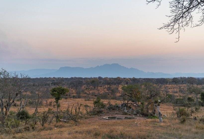 Отель Tomo Safari Lodge