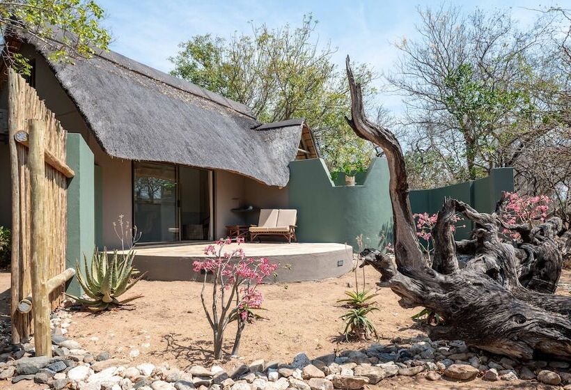 Отель Tomo Safari Lodge