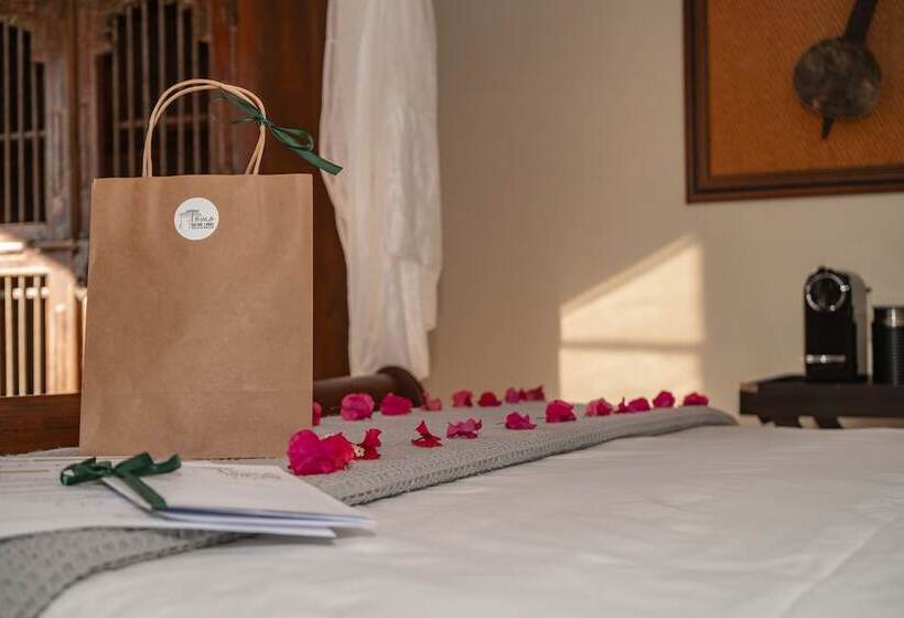 Отель Tomo Safari Lodge