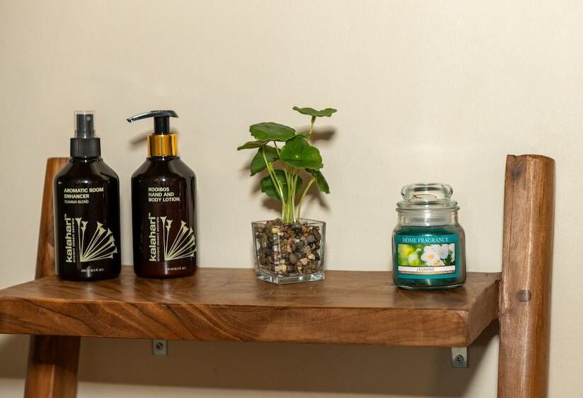 Отель Tomo Safari Lodge