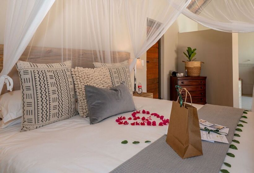 Отель Tomo Safari Lodge