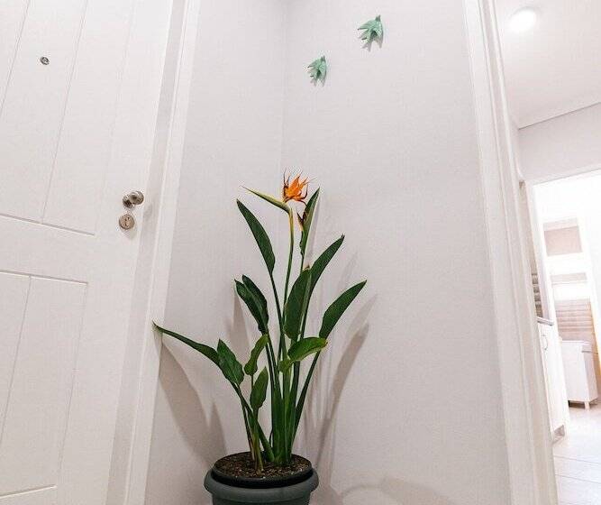 Maré Alta Alojamentos