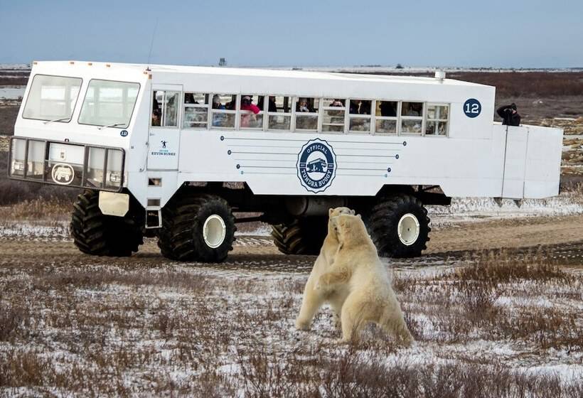 מוטל Iceberg Inn