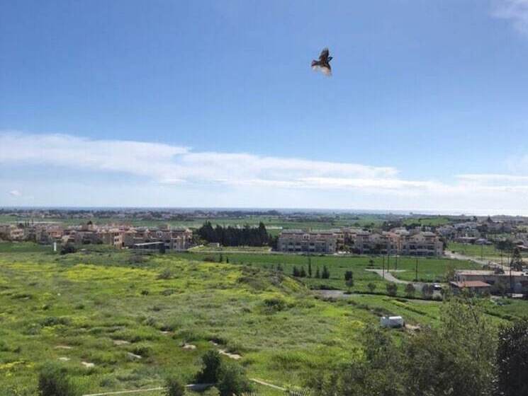 ペンション Lux Country Condo