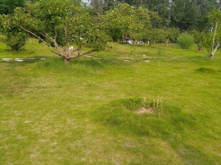 פנסיון Solar Food&drink Campsite