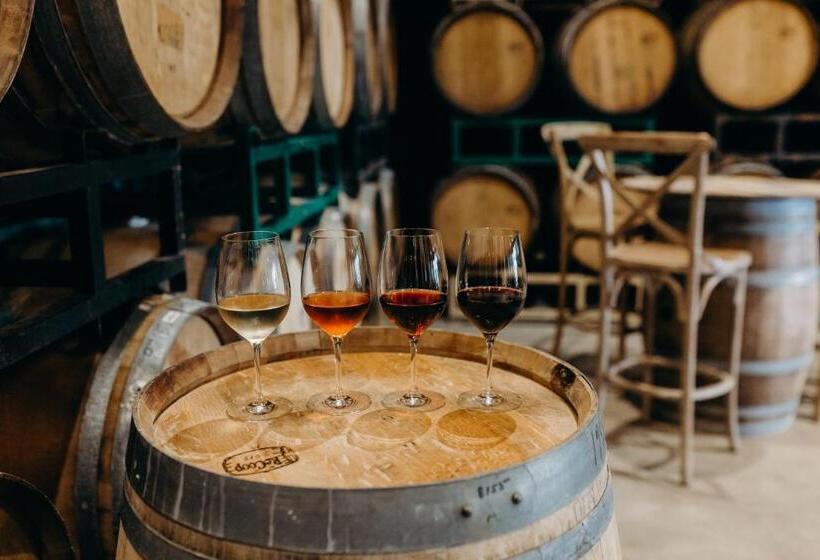 Курорт The Vineyard At Florence