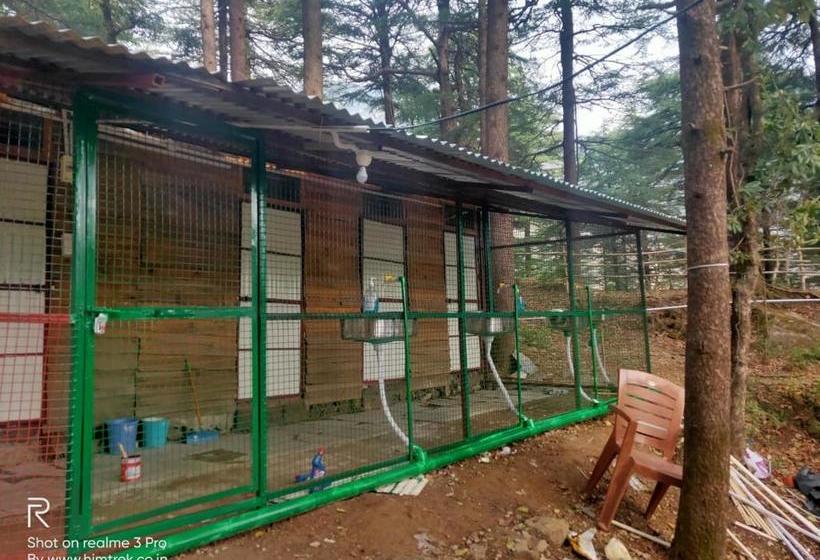مبيت وإفطار Himtrekstays,mcleodganj