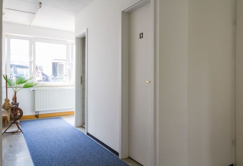 Carli S Bed No Breakfast