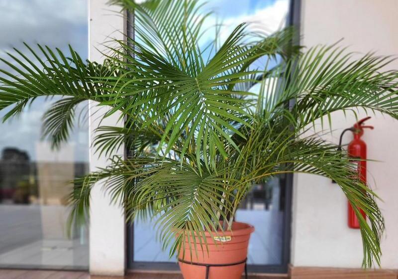 Golden Tulip Agulu Lake Hotel & Resort