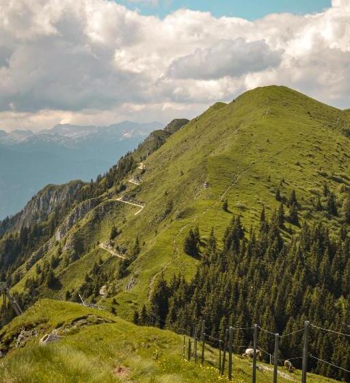 هتل Guesthouse Lajnar