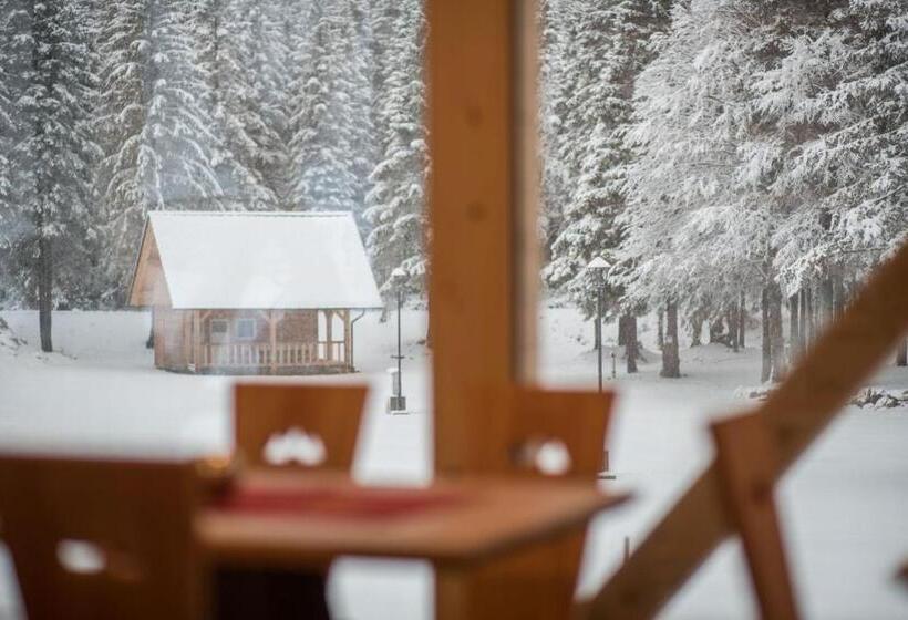 هتل Guesthouse Lajnar