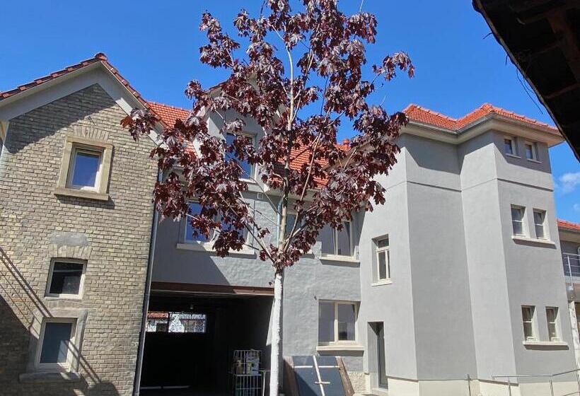 膳宿费 Bürgerhauslöwen