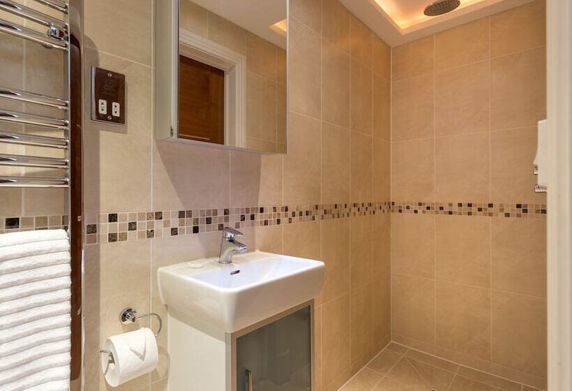 Swallows   Bournemouth