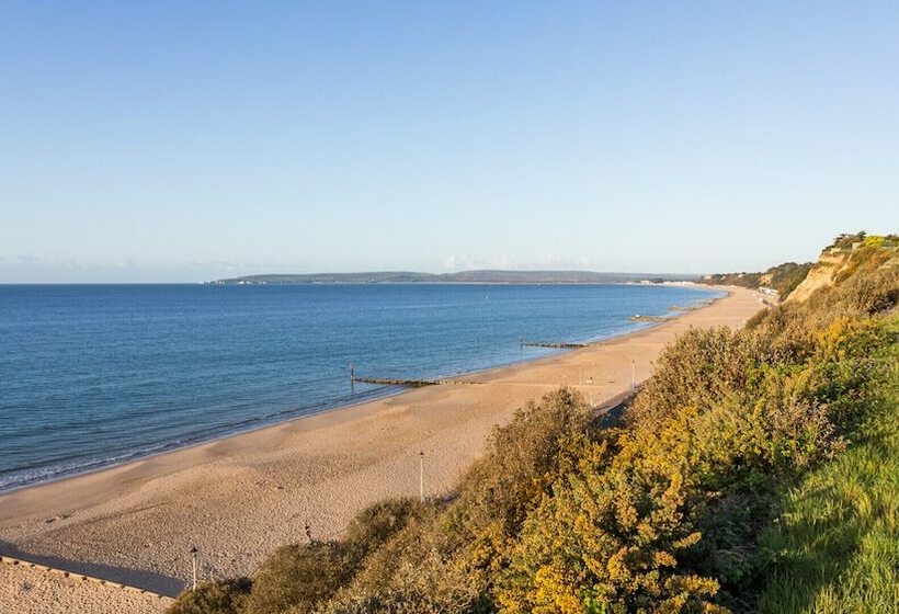 Swallows   Bournemouth